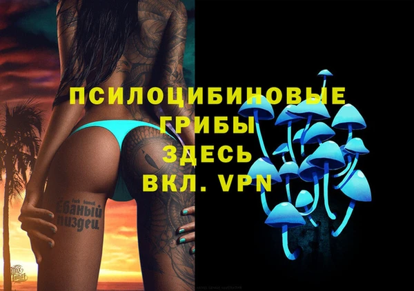 бошки Майский