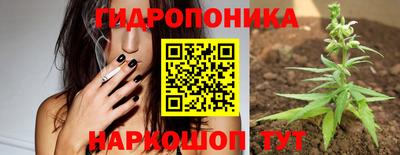 мдпв Балашиха