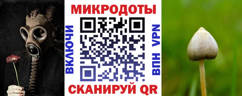 Псилоцибиновые грибы Cubensis  Электросталь 