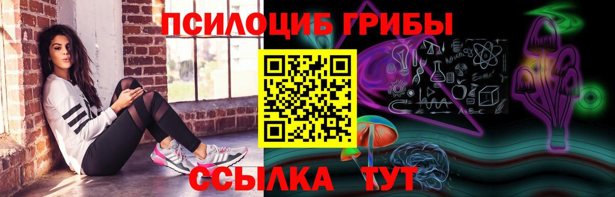 Псилоцибиновые грибы Cubensis  Псилоцибиновые грибы Cubensis  Электросталь 